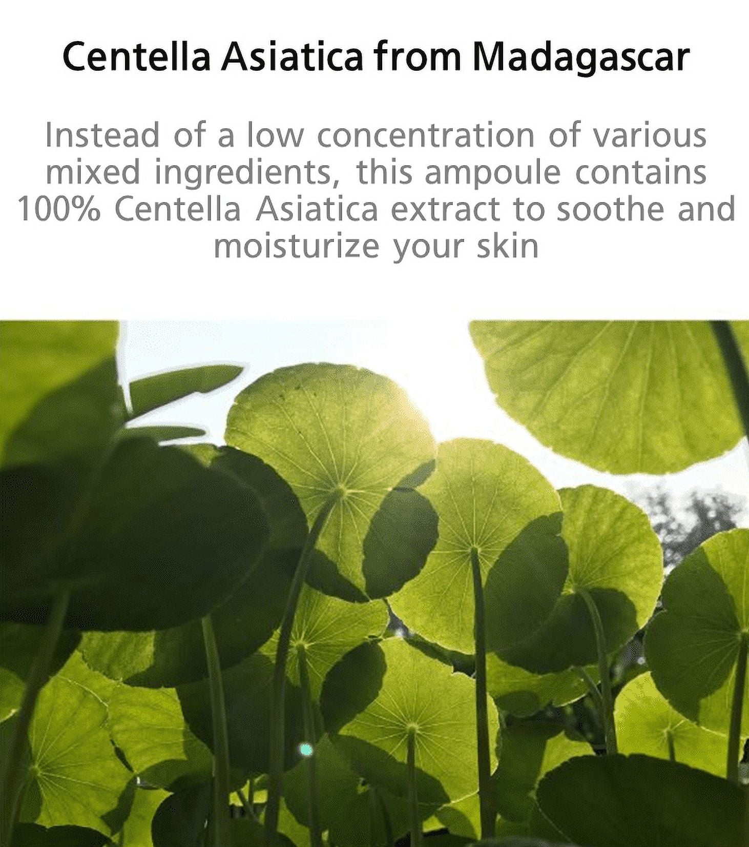 Madagascar Centella Ampoule 100Ml by Korean Skin Care