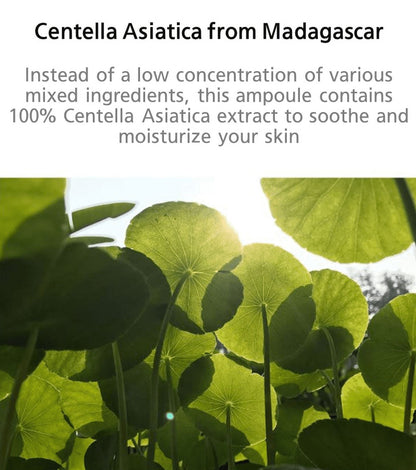 Madagascar Centella Ampoule 100Ml by Korean Skin Care