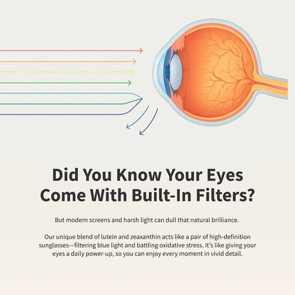 Eye Health by Snap Supplements