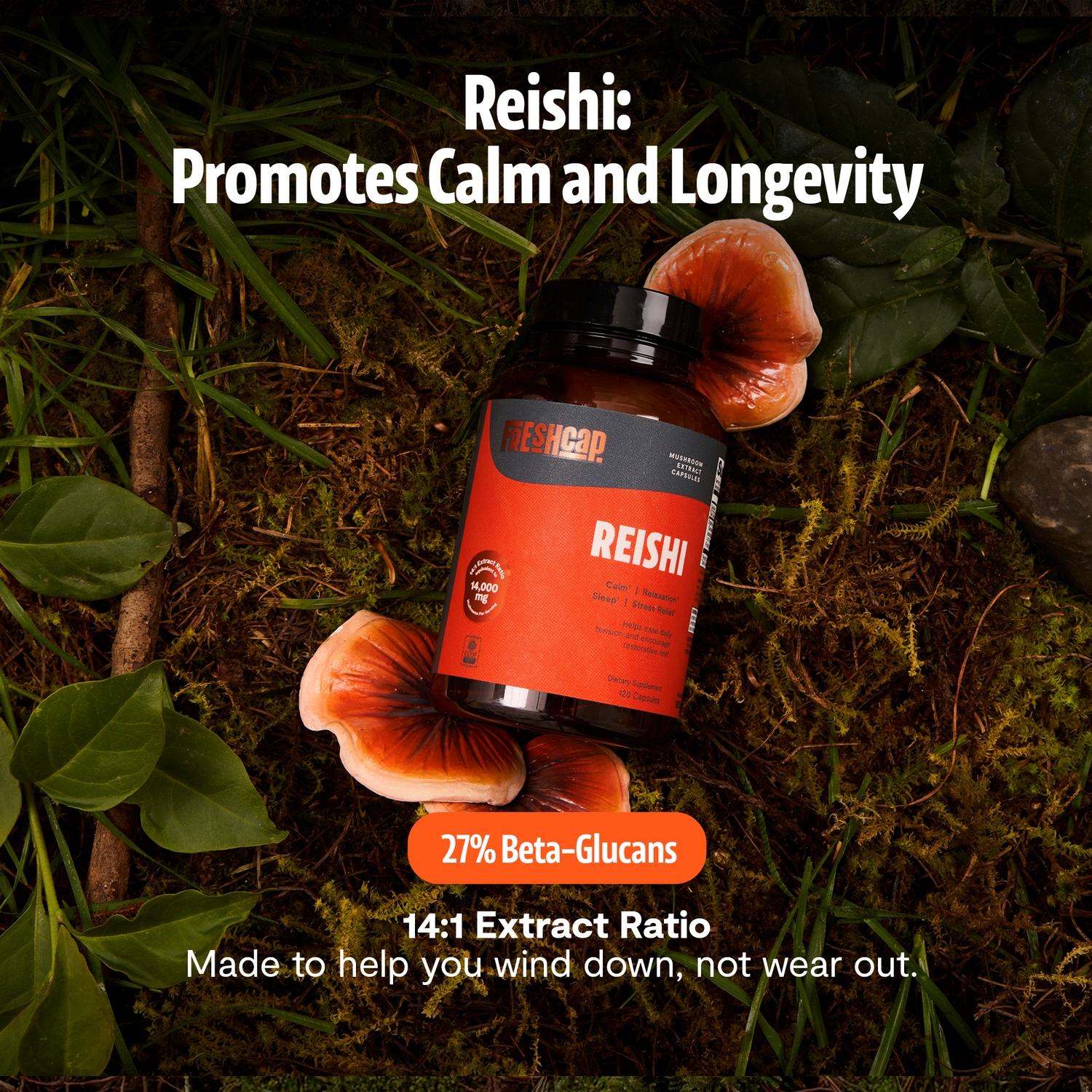 Organic Reishi Mushroom Capsules by FreshCap Mushrooms
