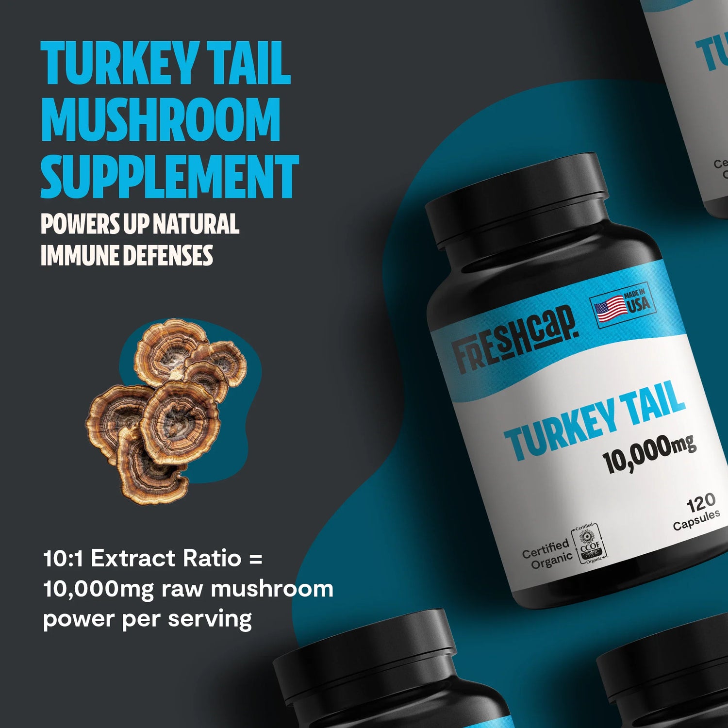 Organic Turkey Tail Mushroom Capsules by FreshCap Mushrooms