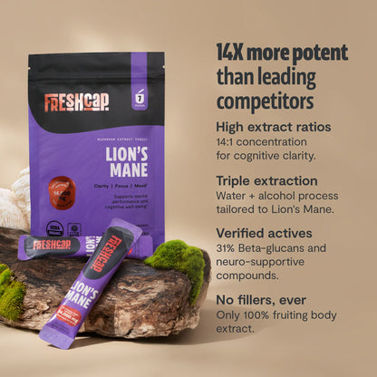 Organic Lion’s Mane Mushroom Powder by FreshCap Mushrooms