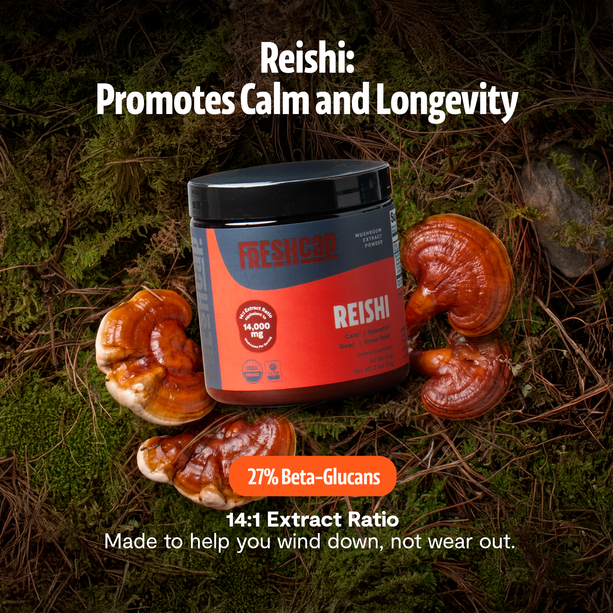Organic Reishi Mushroom Powder by FreshCap Mushrooms
