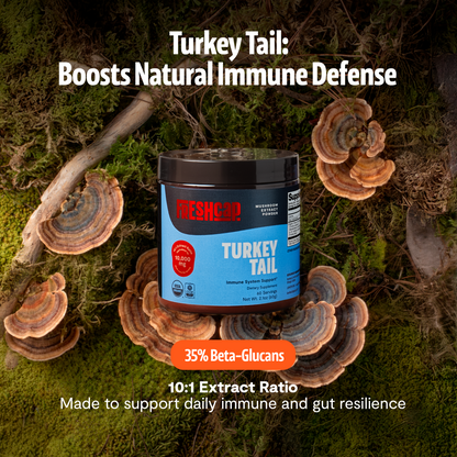 Organic Turkey Tail Mushroom Powder by FreshCap Mushrooms