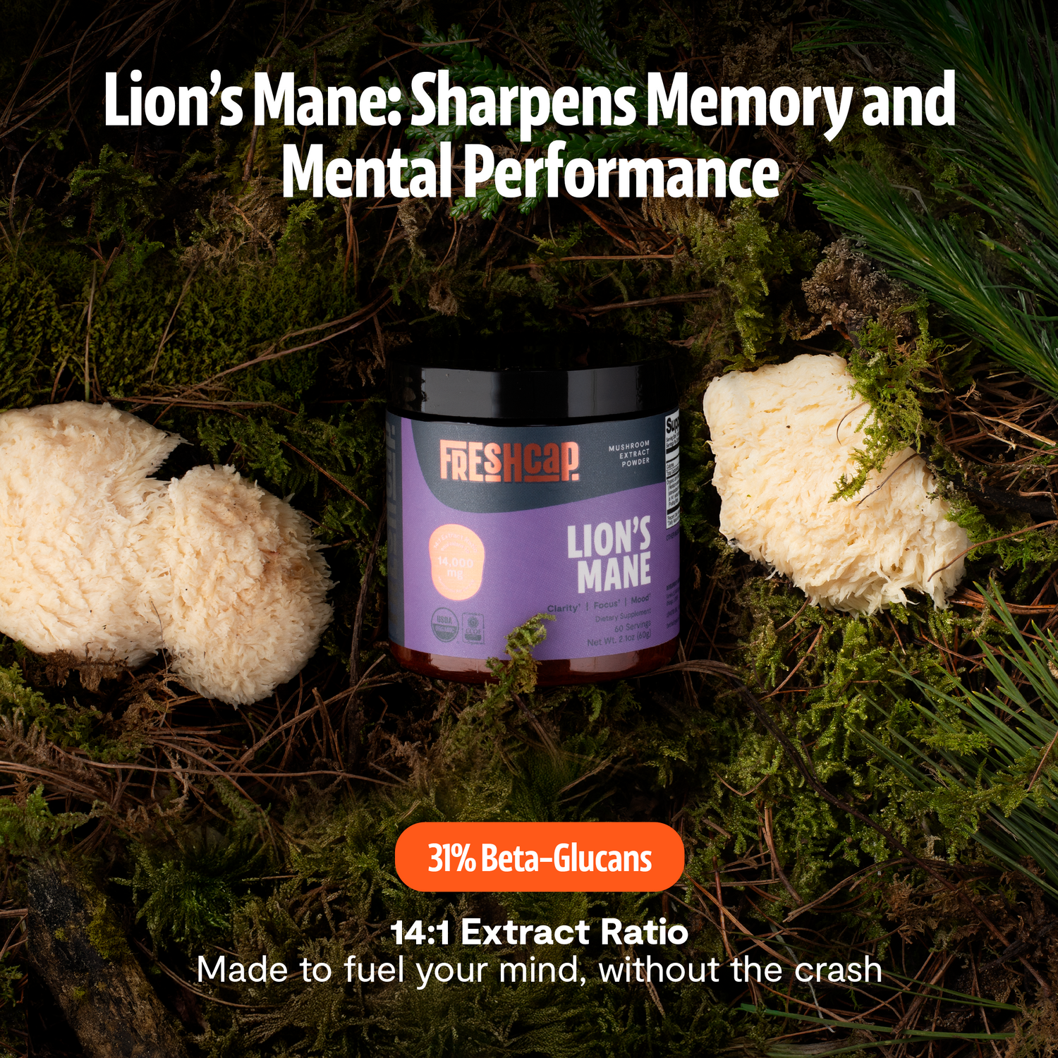 Organic Mushroom Complex Supplement Capsules by FreshCap Mushrooms