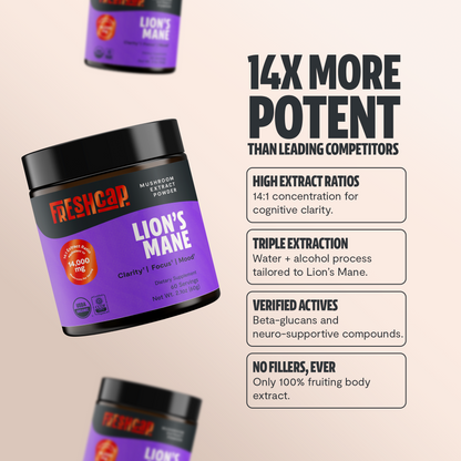 Organic Lion’s Mane Mushroom Powder by FreshCap Mushrooms