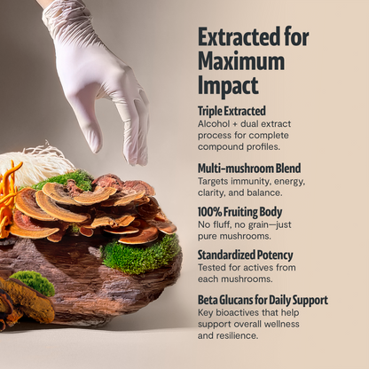 Organic Mushroom Extract Powder Blend by FreshCap Mushrooms