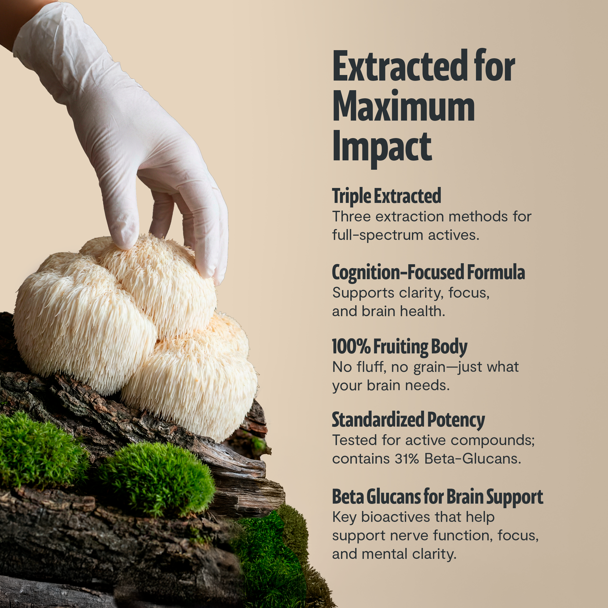 Organic Mushroom Complex Supplement Capsules by FreshCap Mushrooms