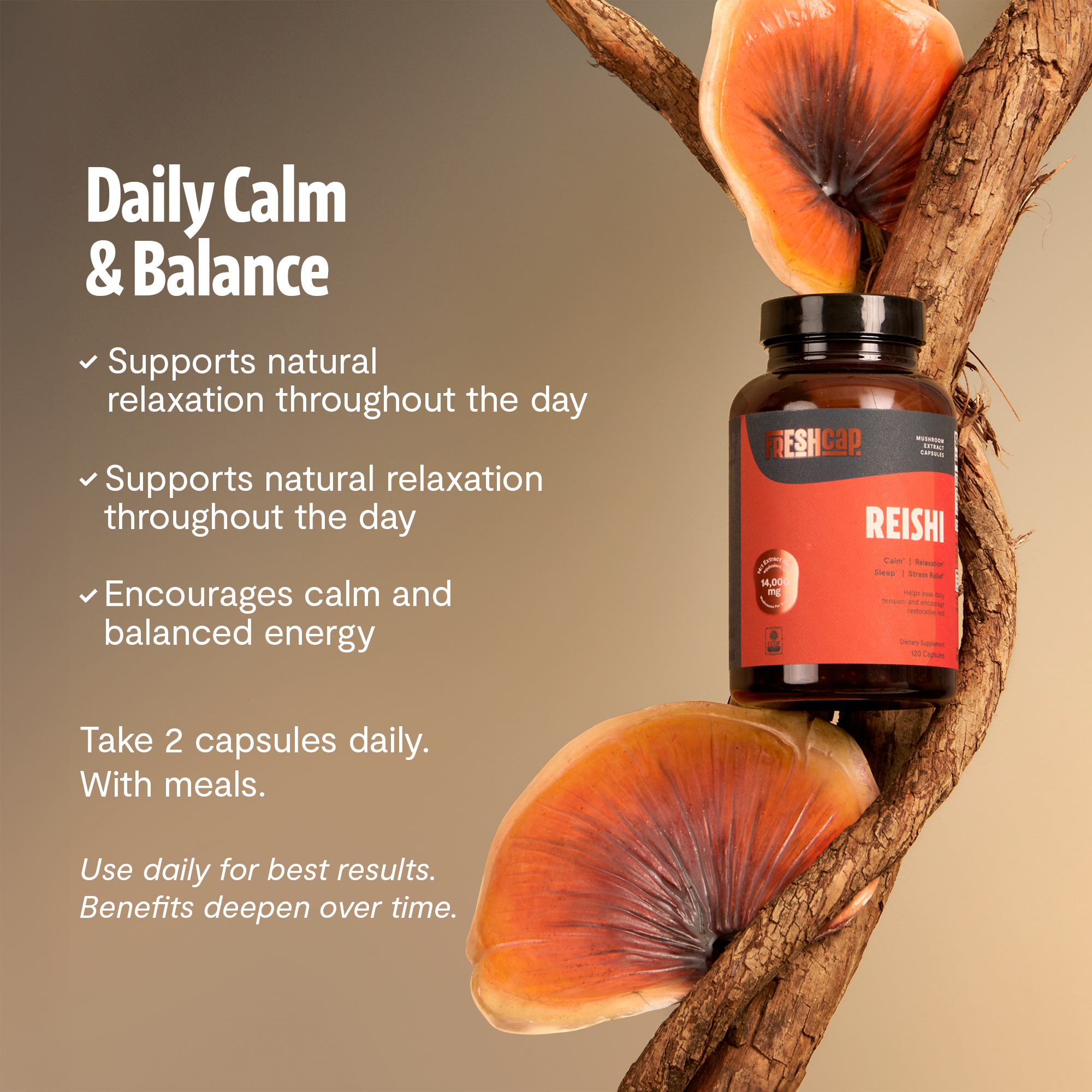 Organic Reishi Mushroom Capsules by FreshCap Mushrooms