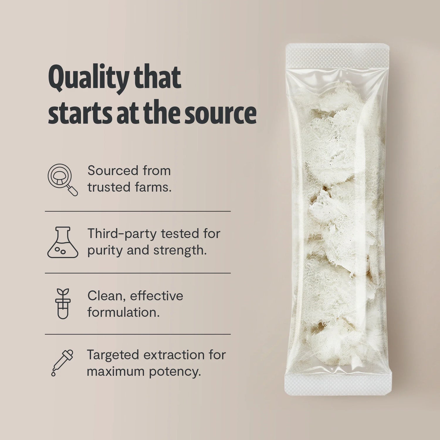 Organic Lion’s Mane Mushroom Powder by FreshCap Mushrooms