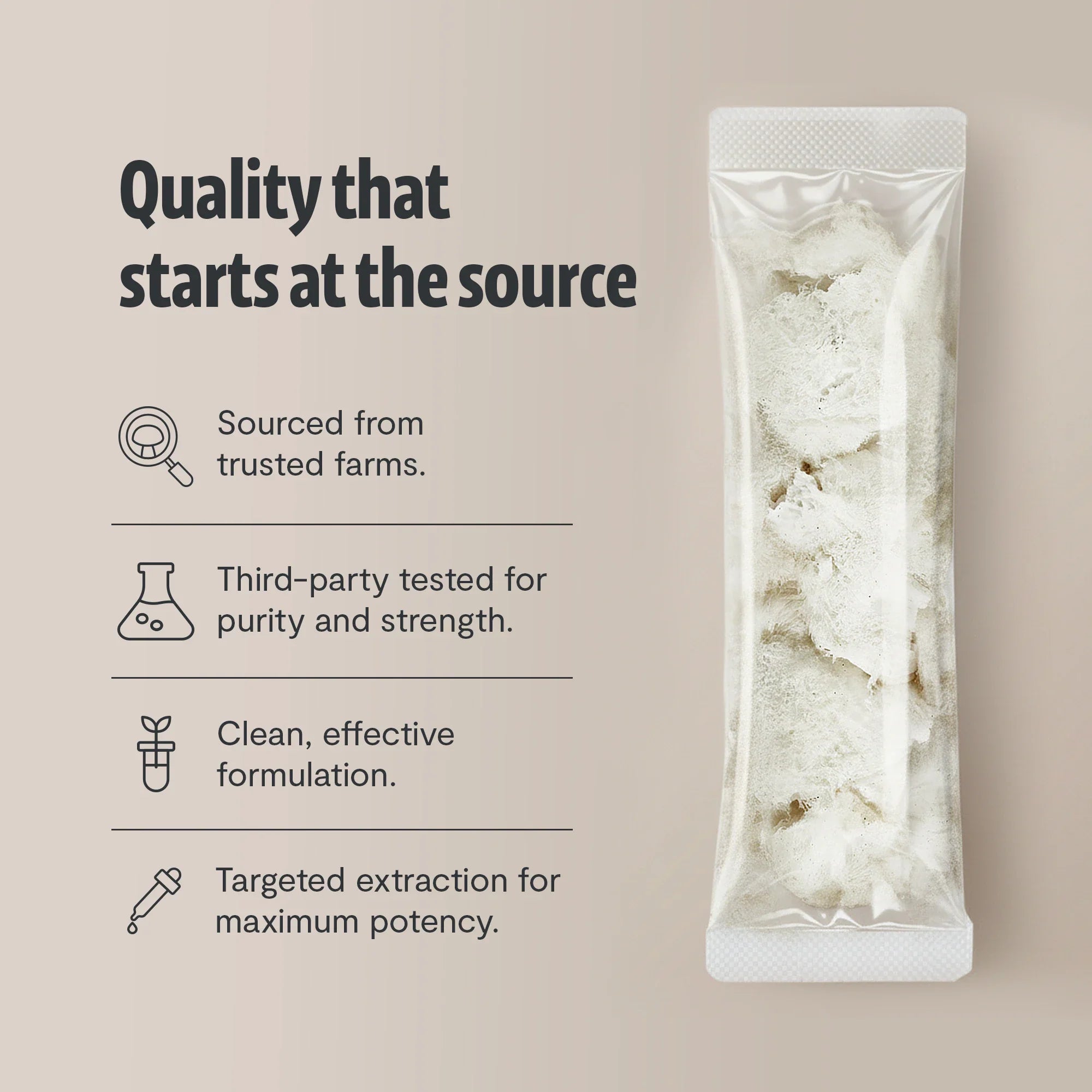Organic Lion’s Mane Mushroom Powder by FreshCap Mushrooms