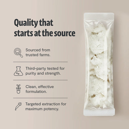 Organic Lion’s Mane Mushroom Powder by FreshCap Mushrooms
