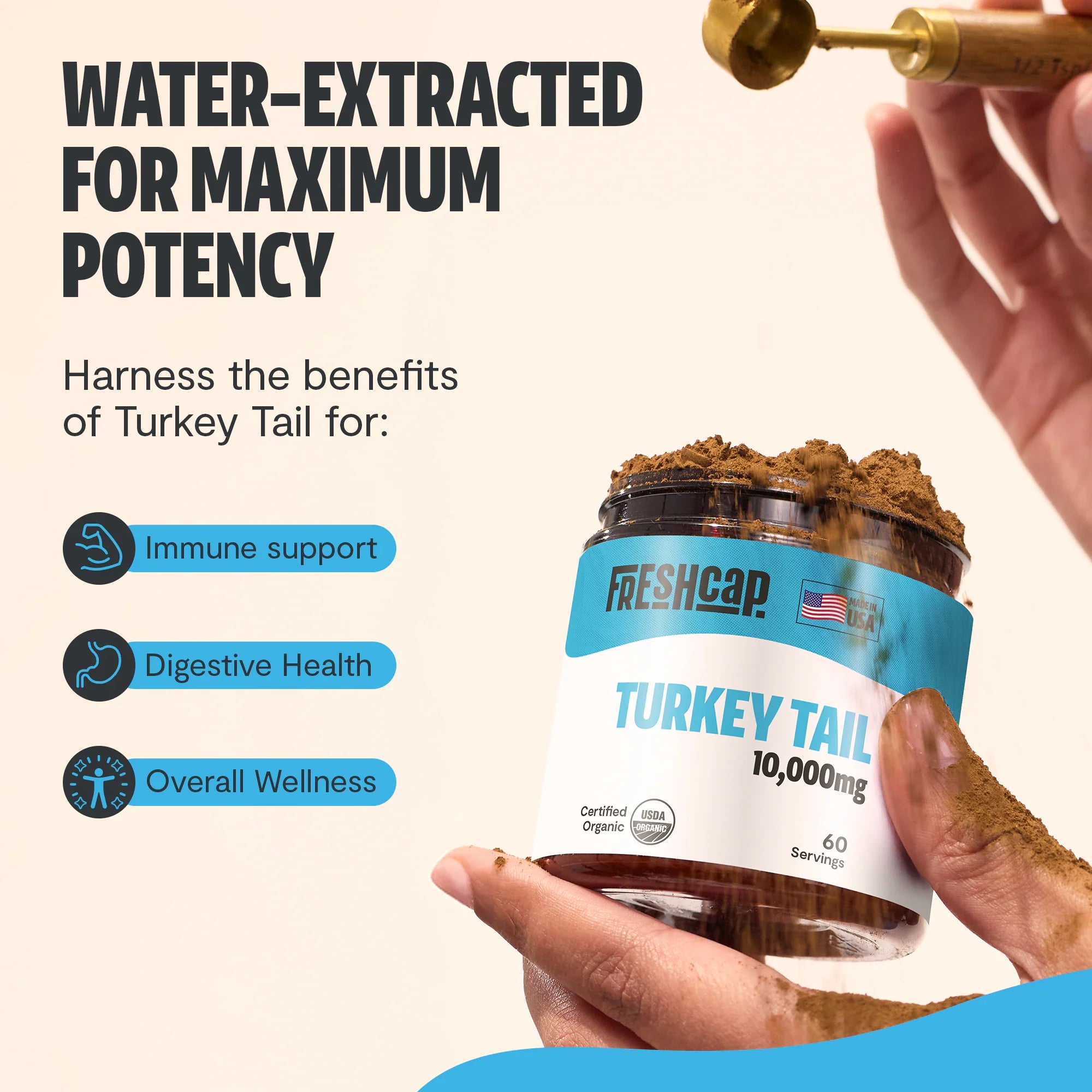 Organic Turkey Tail Mushroom Powder by FreshCap Mushrooms