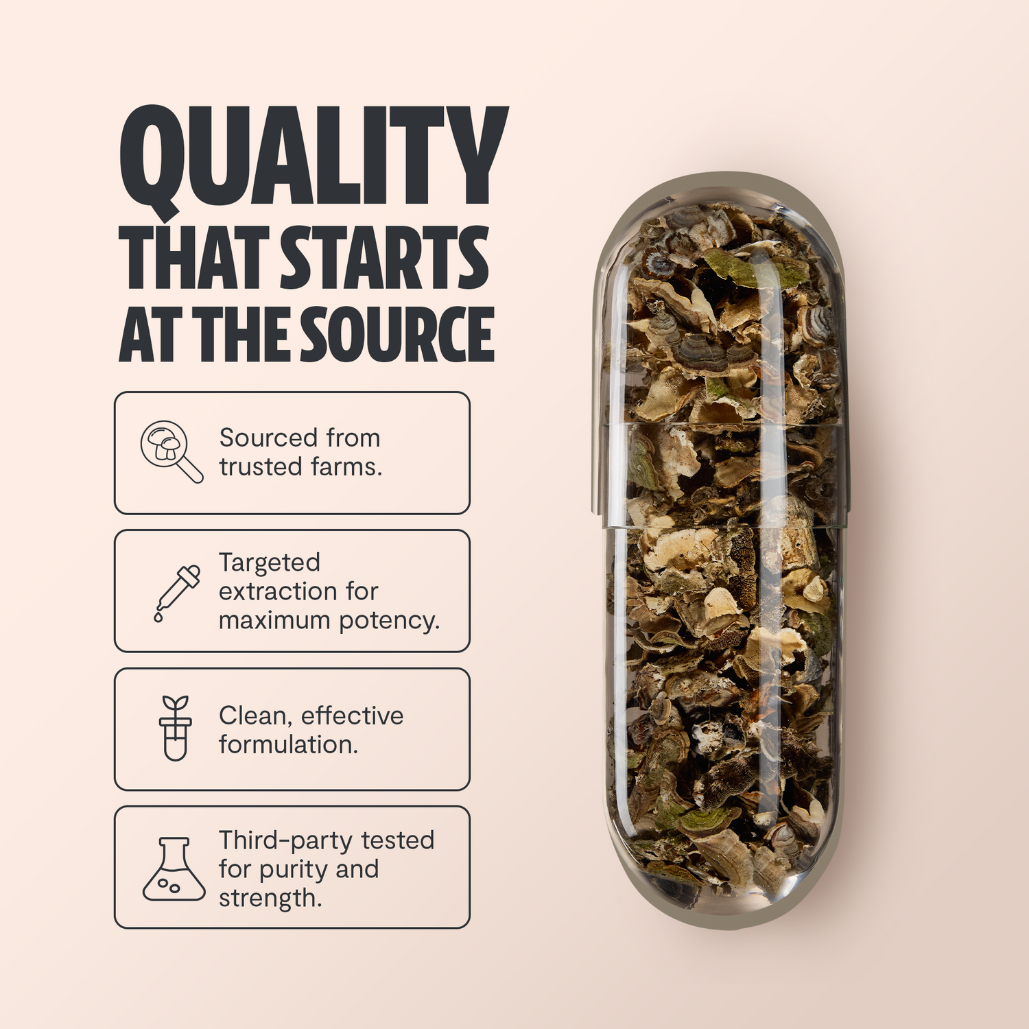 Organic Turkey Tail Mushroom Capsules by FreshCap Mushrooms