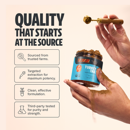 Organic Turkey Tail Mushroom Powder by FreshCap Mushrooms