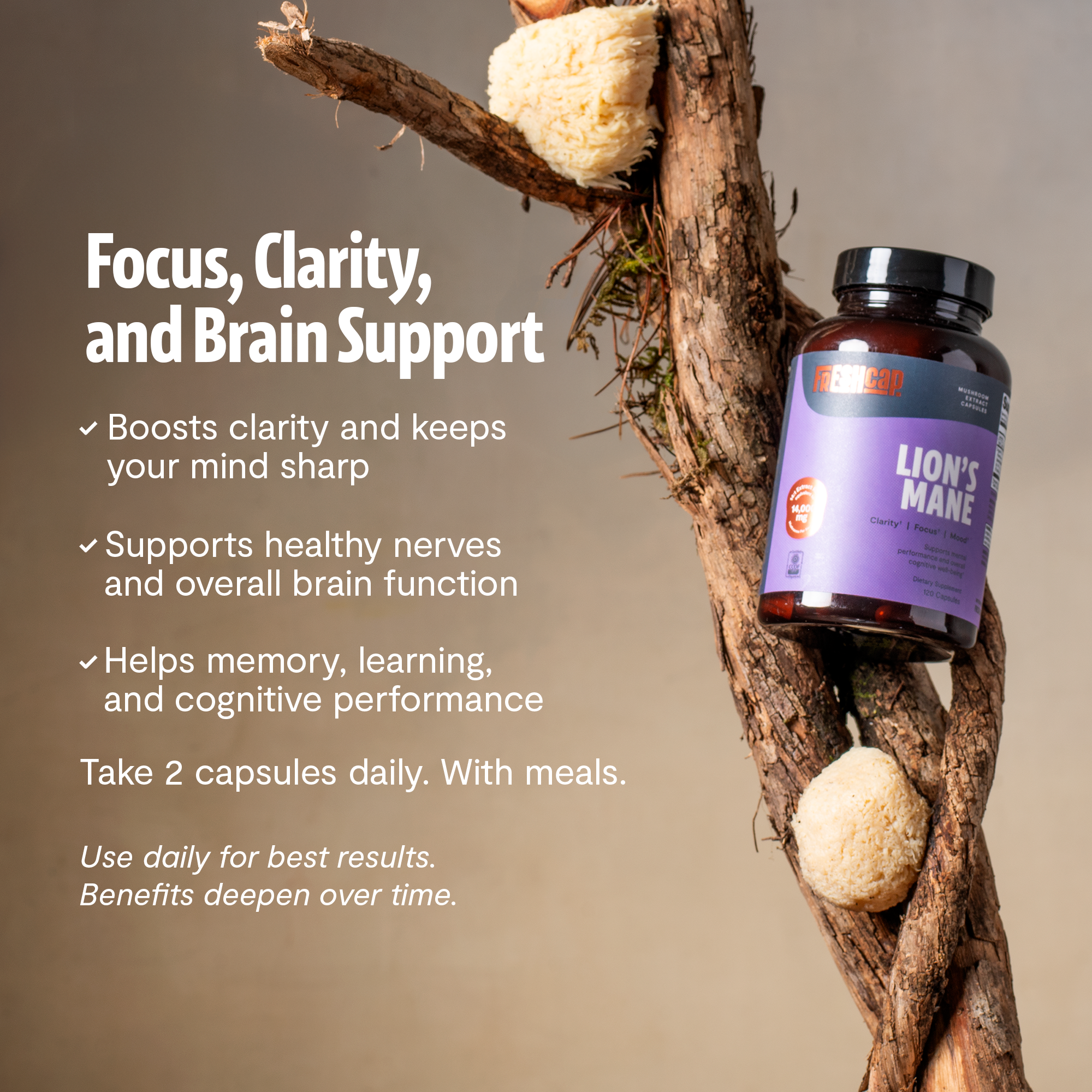 Organic Lion’s Mane Capsules by FreshCap Mushrooms