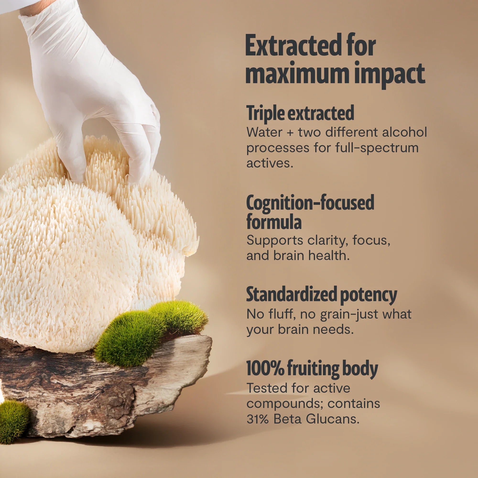 Organic Lion’s Mane Mushroom Powder by FreshCap Mushrooms