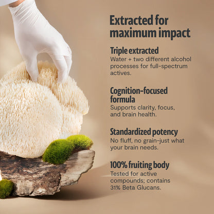 Organic Lion’s Mane Mushroom Powder by FreshCap Mushrooms