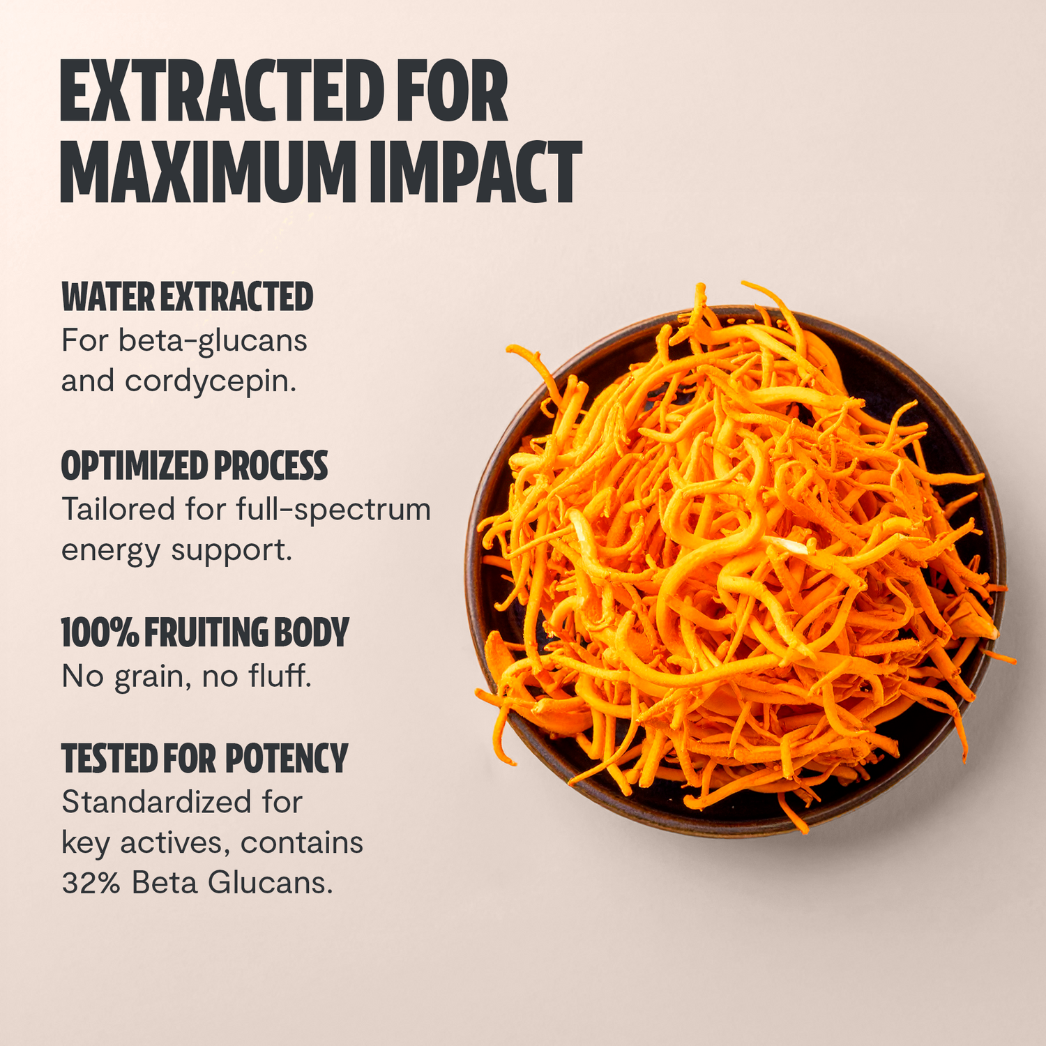 Cordyceps Mushroom Extract Powder by FreshCap Mushrooms