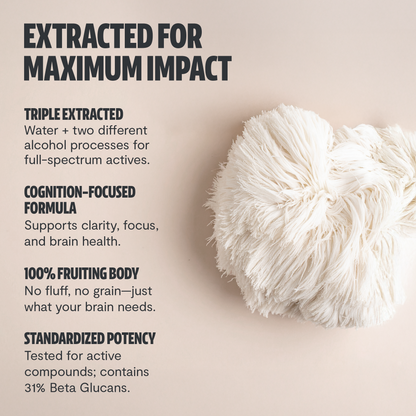 Organic Lion’s Mane Mushroom Powder by FreshCap Mushrooms