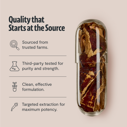 Organic Reishi Mushroom Capsules by FreshCap Mushrooms