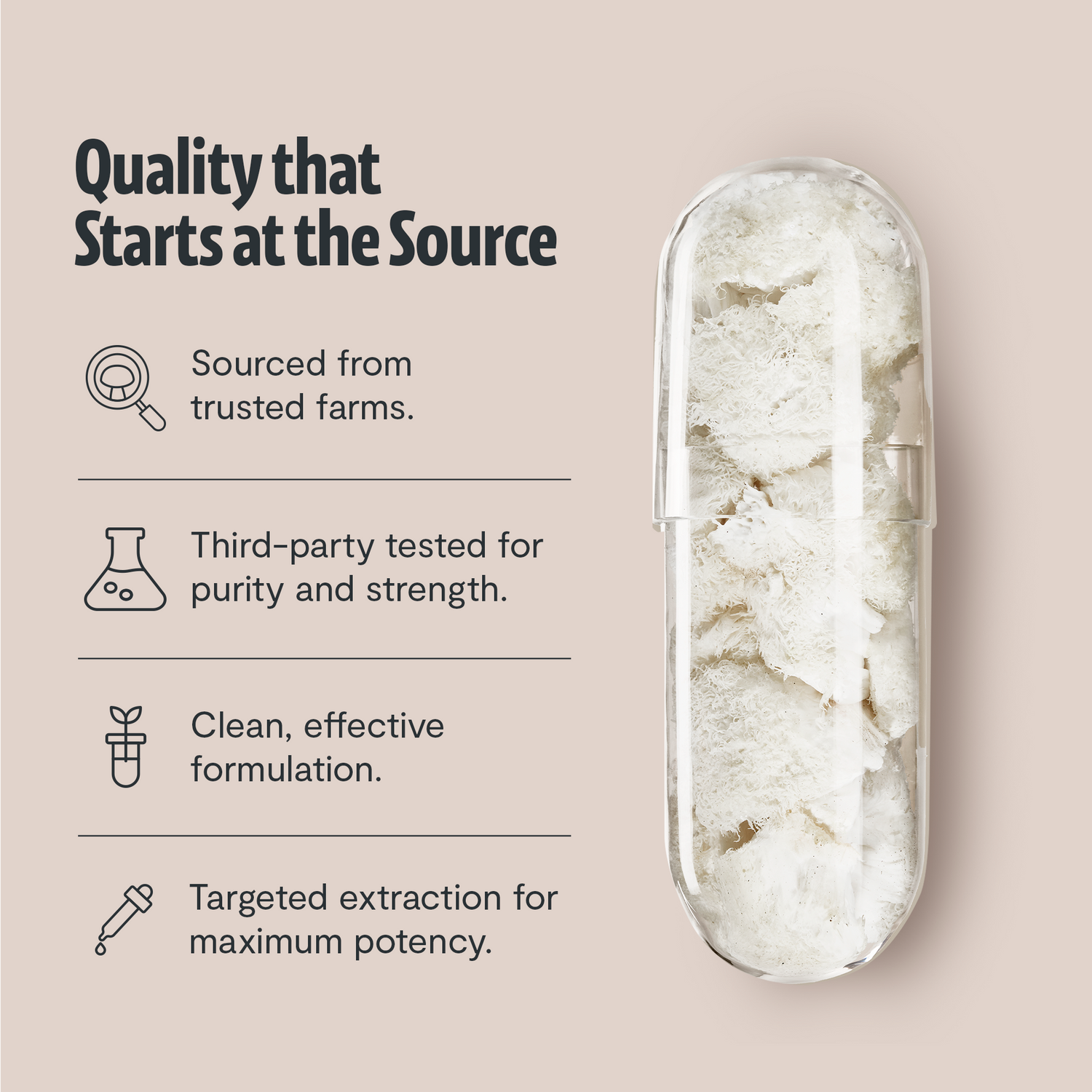Organic Lion’s Mane Capsules by FreshCap Mushrooms