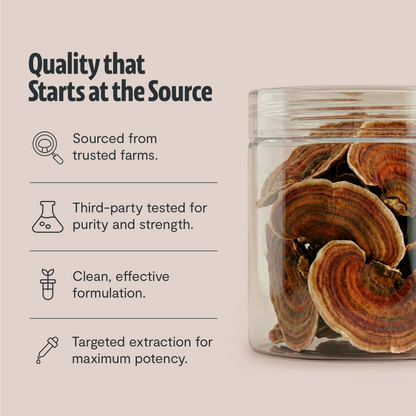 Organic Turkey Tail Mushroom Powder by FreshCap Mushrooms