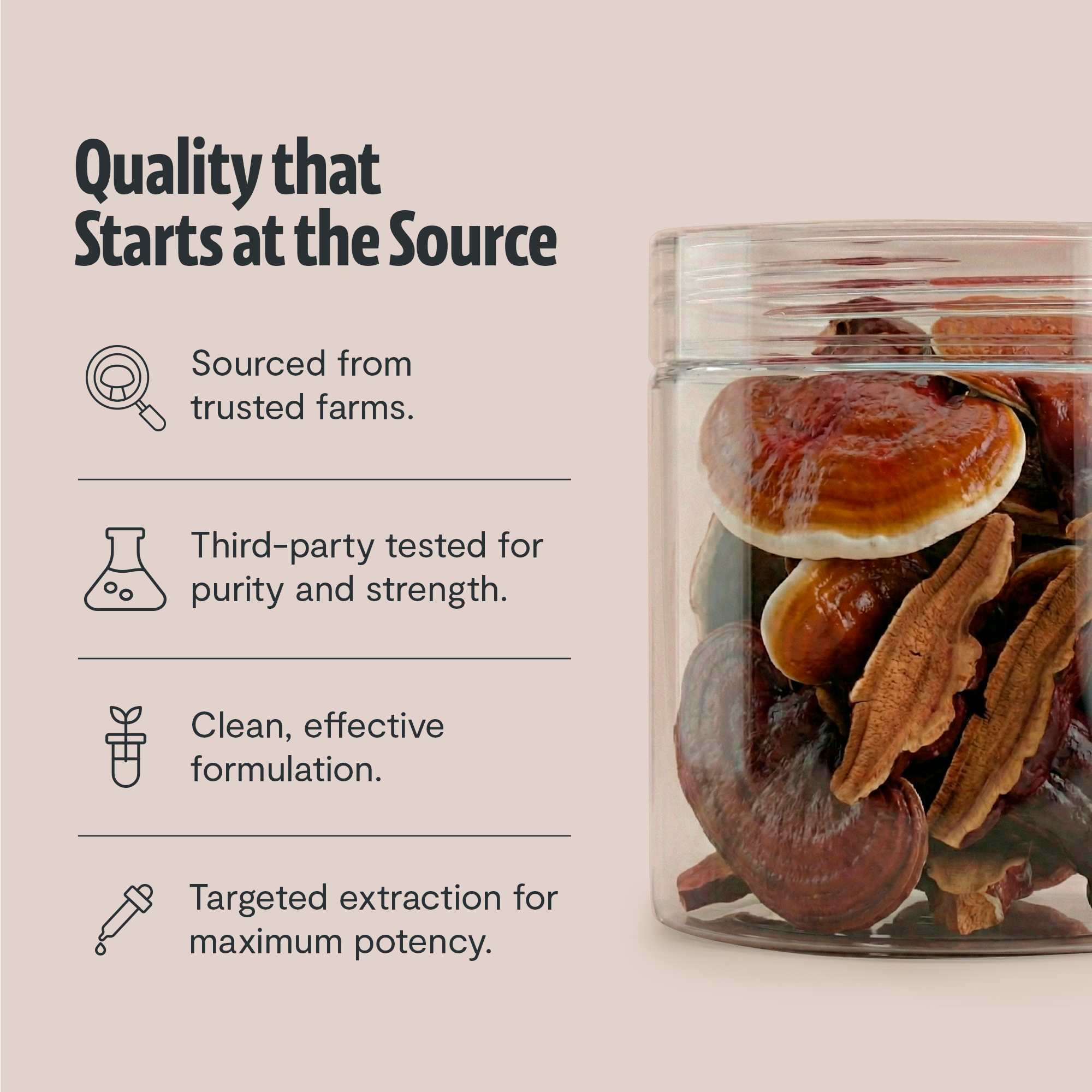 Organic Reishi Mushroom Powder by FreshCap Mushrooms