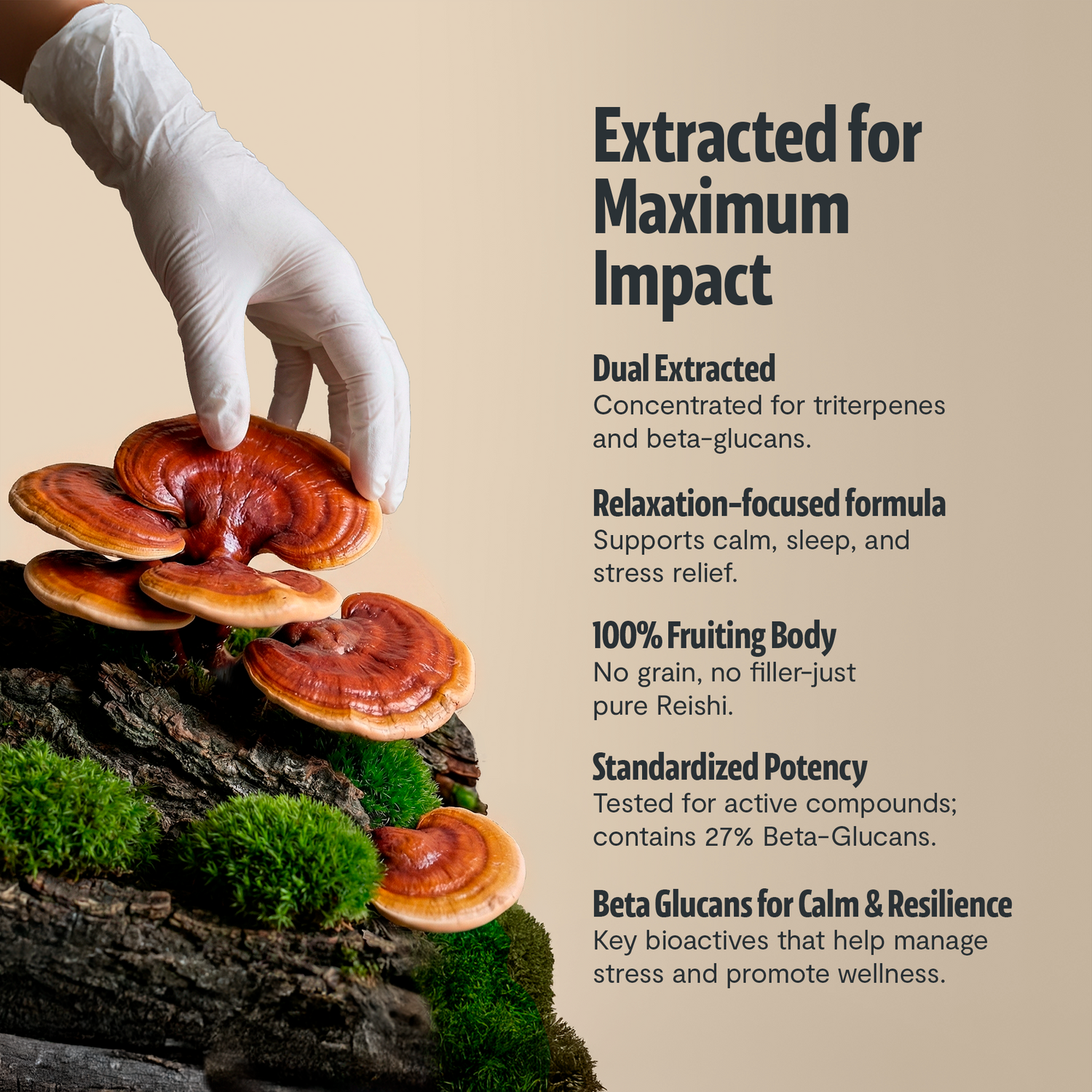 Organic Reishi Mushroom Capsules by FreshCap Mushrooms