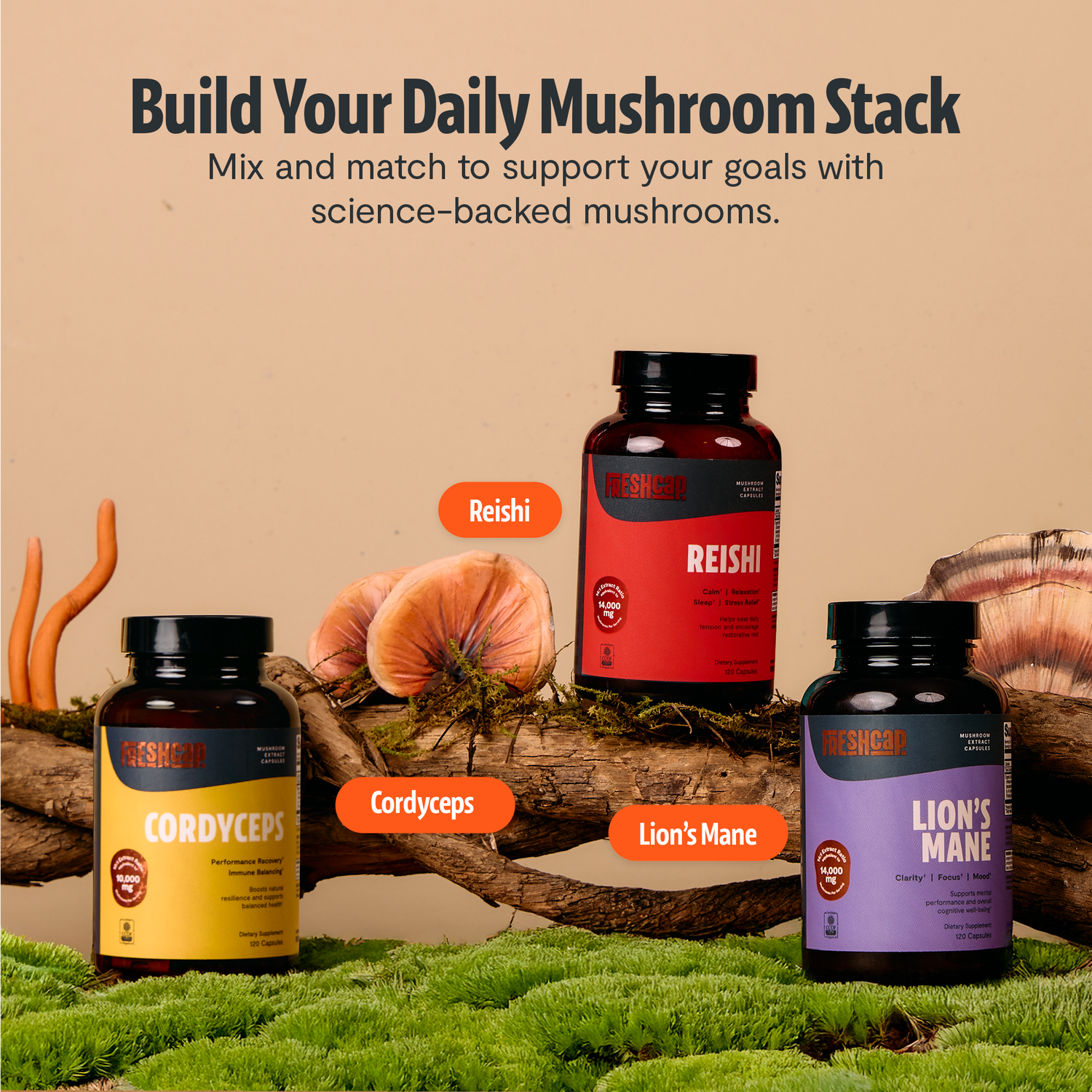 Organic Reishi Mushroom Capsules by FreshCap Mushrooms