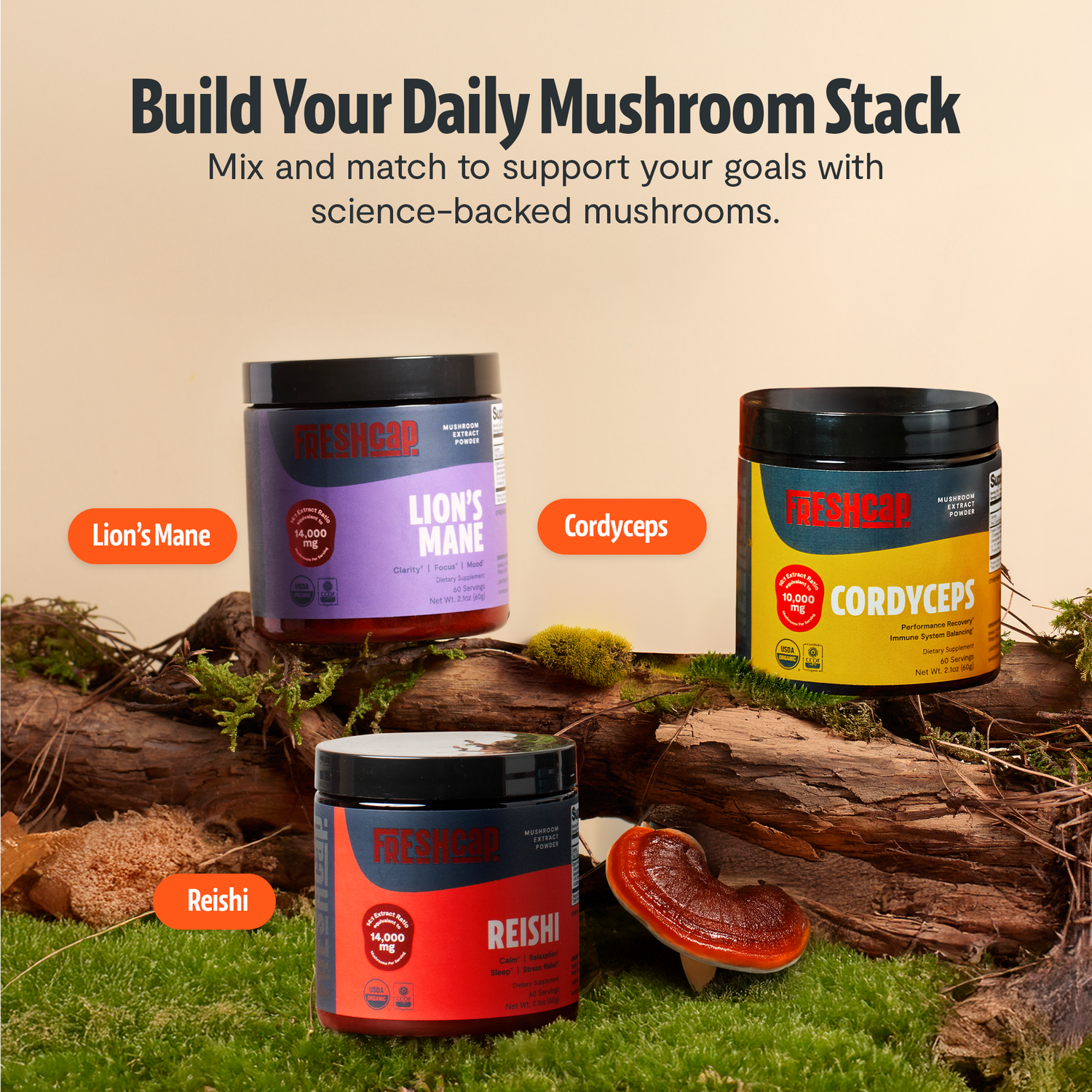 Organic Reishi Mushroom Powder by FreshCap Mushrooms