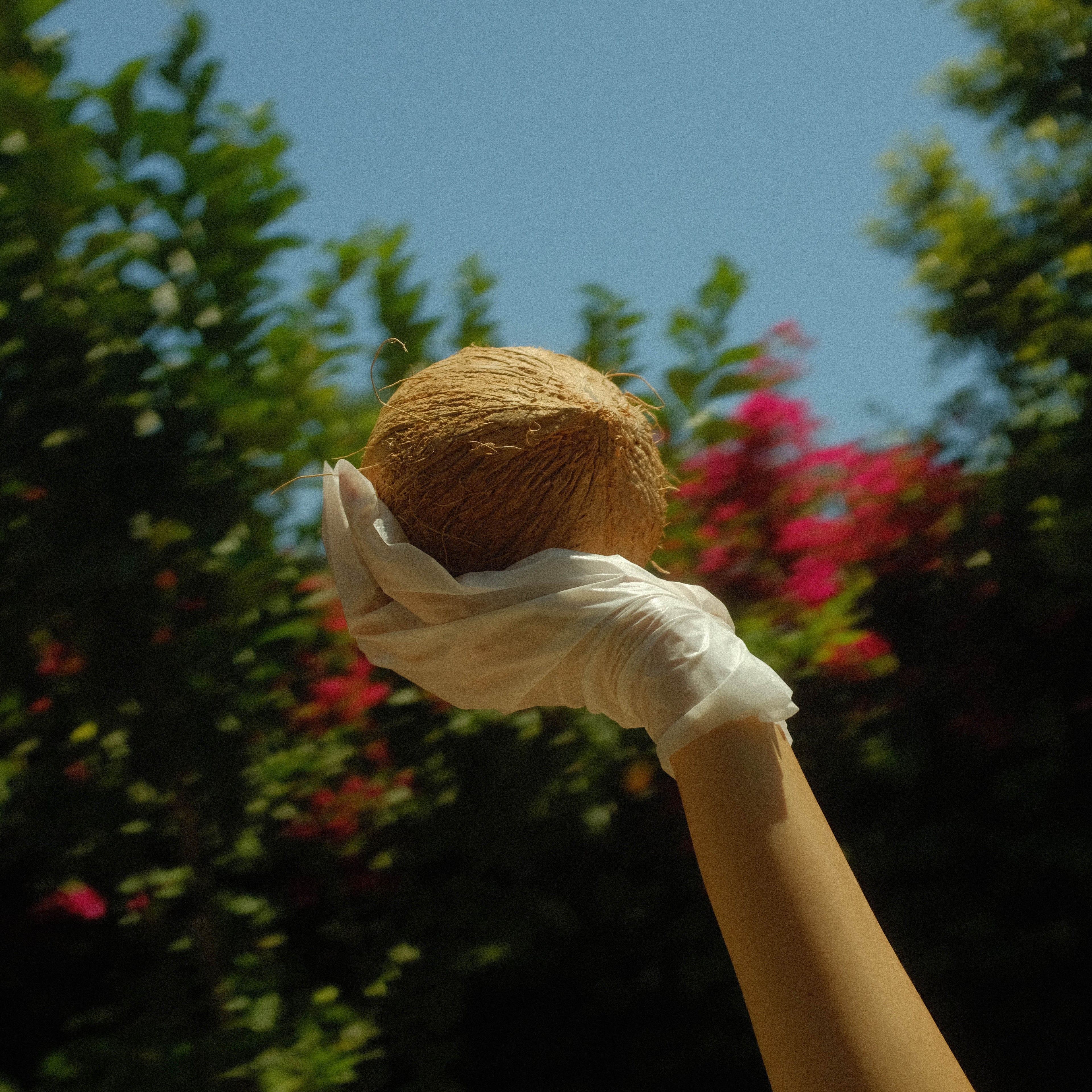 Lapcos Coconut Milk Hand Mask by LAPCOS