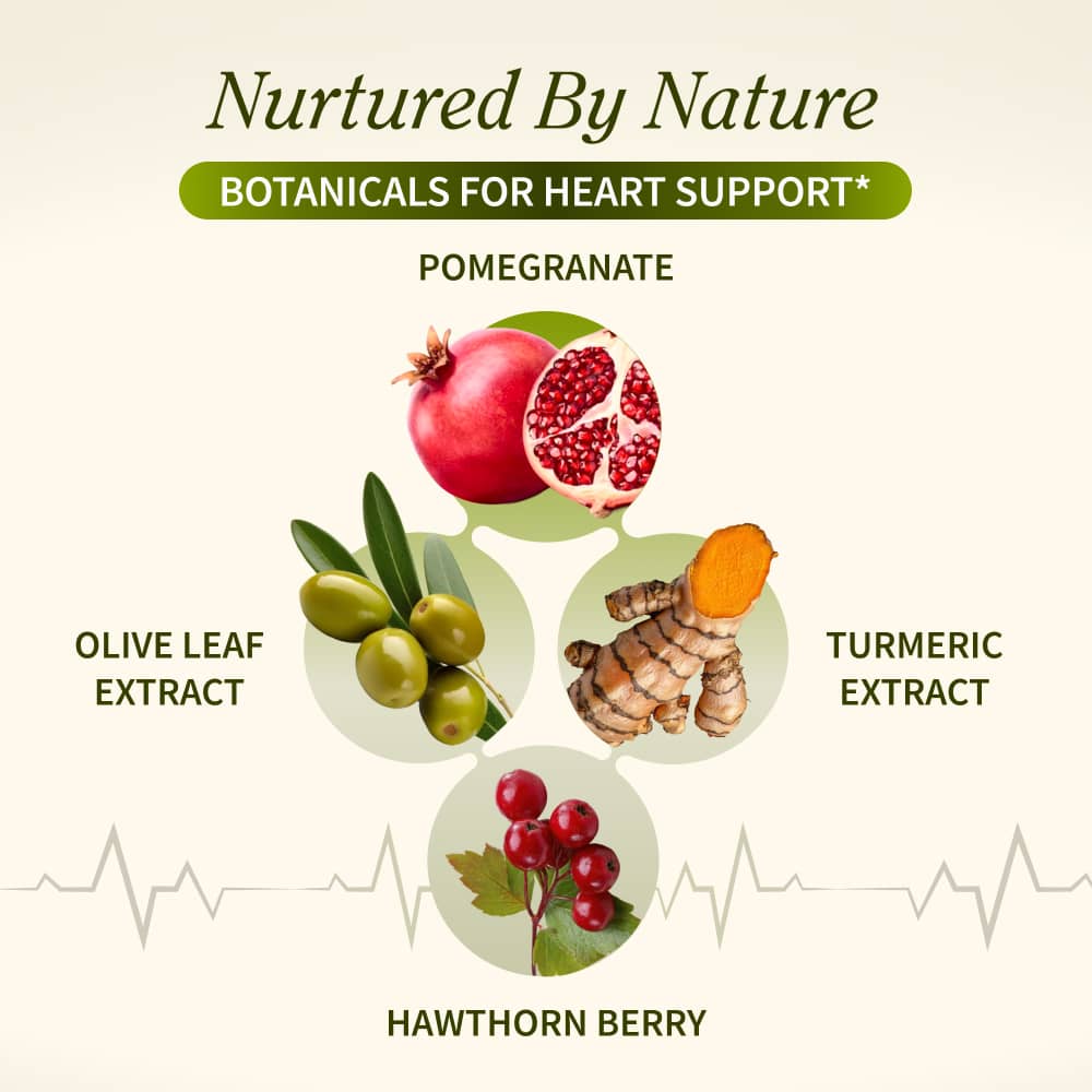 Heart Health by Snap Supplements