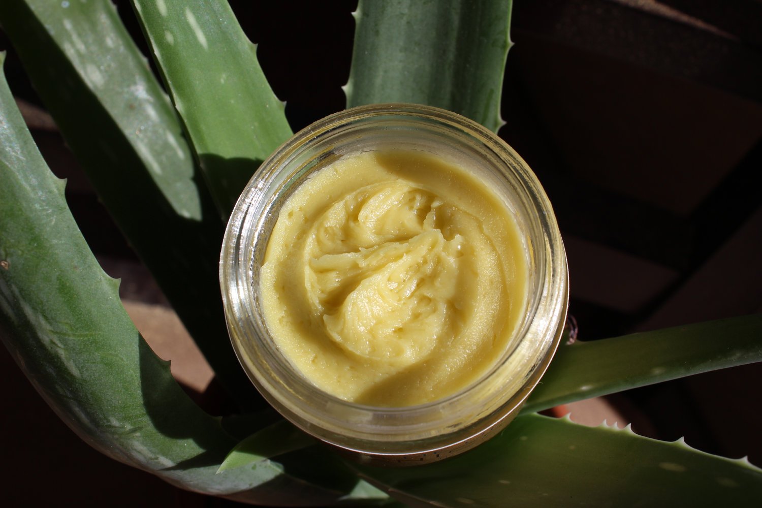 Anti Aging Night Cream Face Moisturizer Organic Green Tea by Butter Me Up Organics
