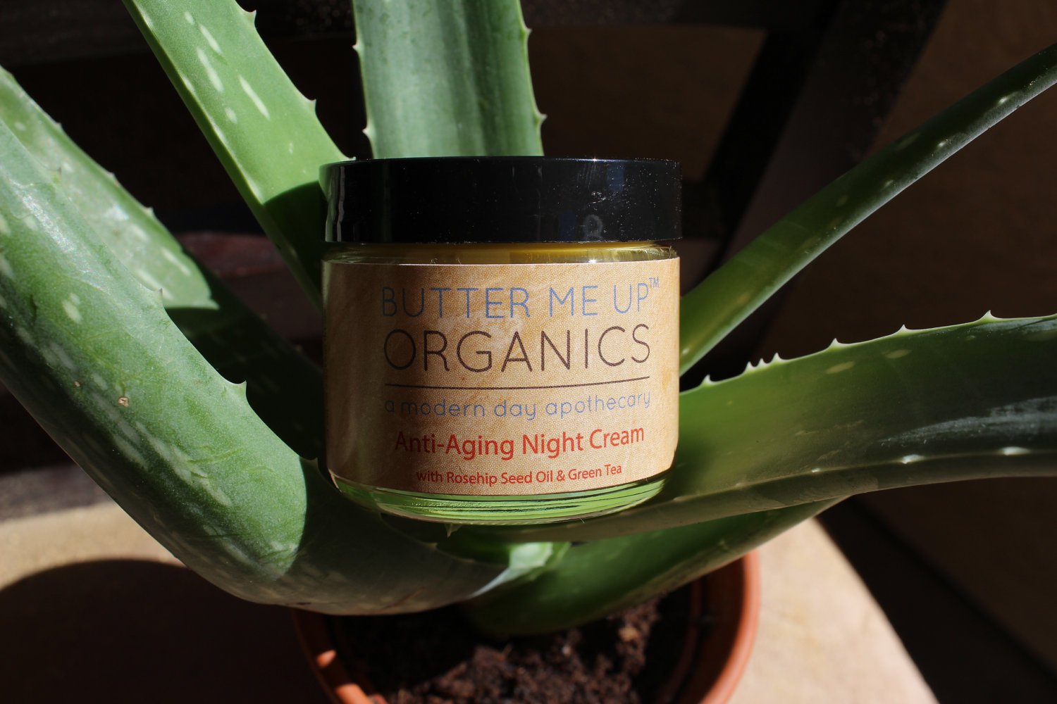 Anti Aging Night Cream Face Moisturizer Organic Green Tea by Butter Me Up Organics
