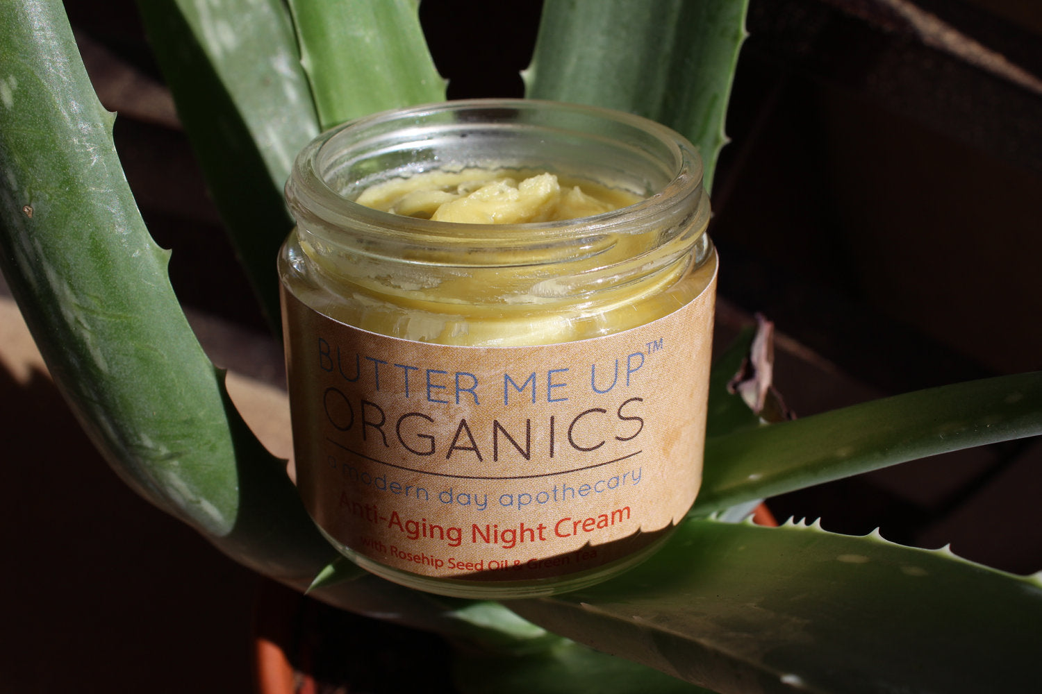 Anti Aging Night Cream Face Moisturizer Organic Green Tea by Butter Me Up Organics