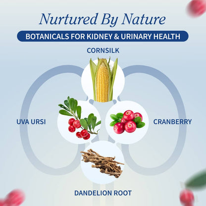 Kidney Health - Buy 3, Get 2 FREE! by Snap Supplements