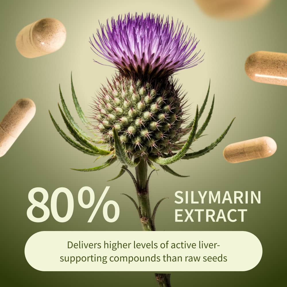 Liver Health &amp; Detox - 3 Month Supply by Snap Supplements