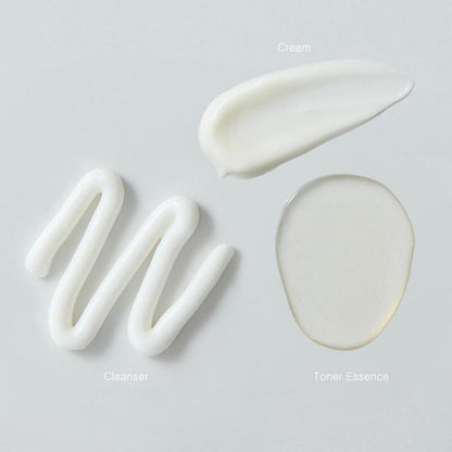 [VENDERMA] Red Calming Cica Exo Soothing Cream 50ml by Pi-Boo