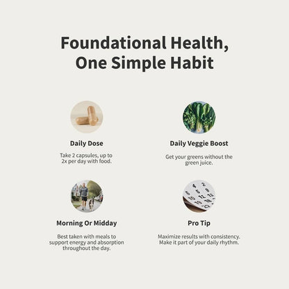 Daily Multivitamin for Men by Snap Supplements