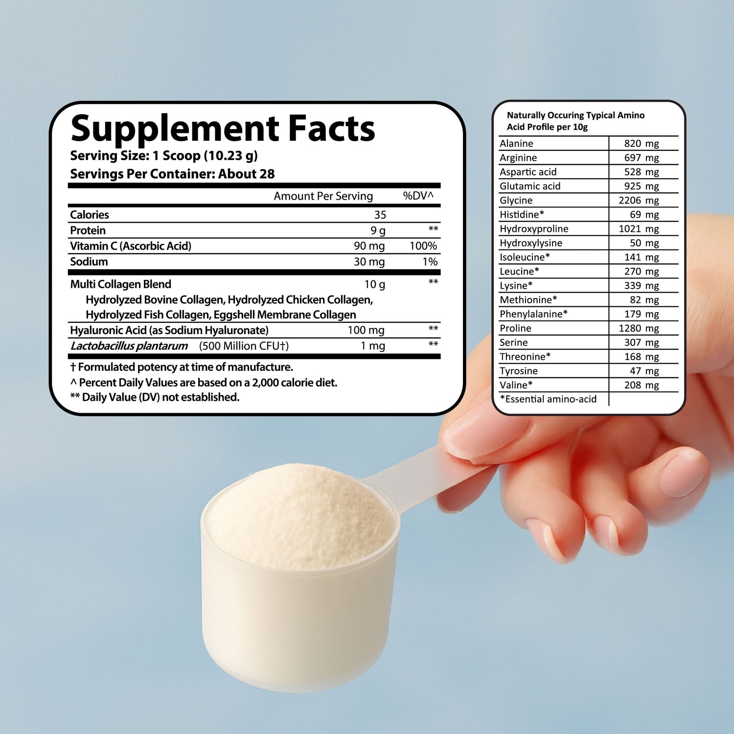 Multi Collagen Complex + by Vitamin Bounty