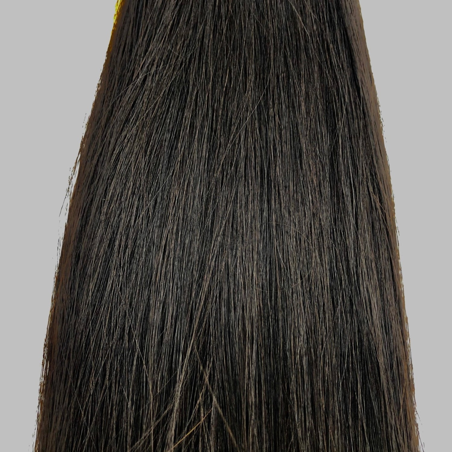 Narcia Remy Siberian - Micro Ring - 24"