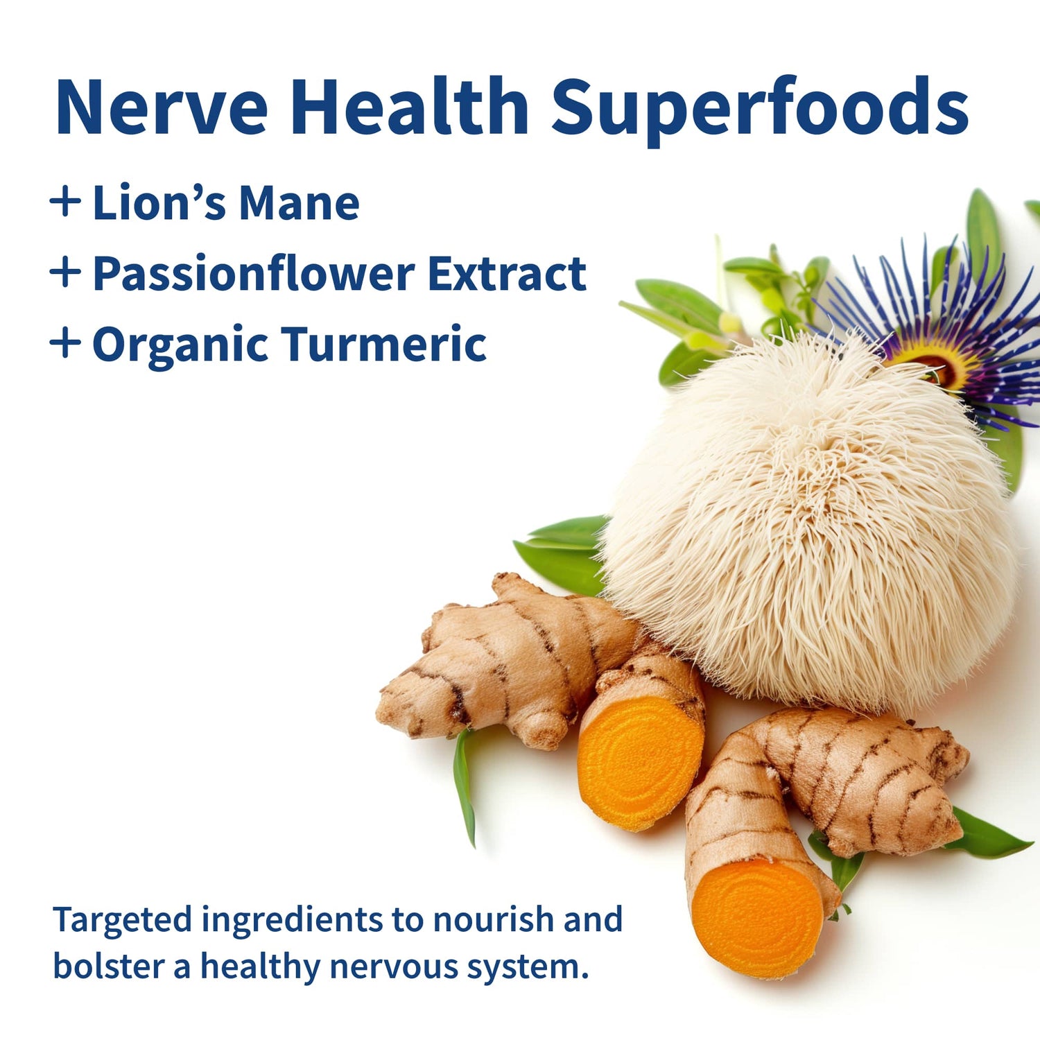 Nerve Health by Snap Supplements