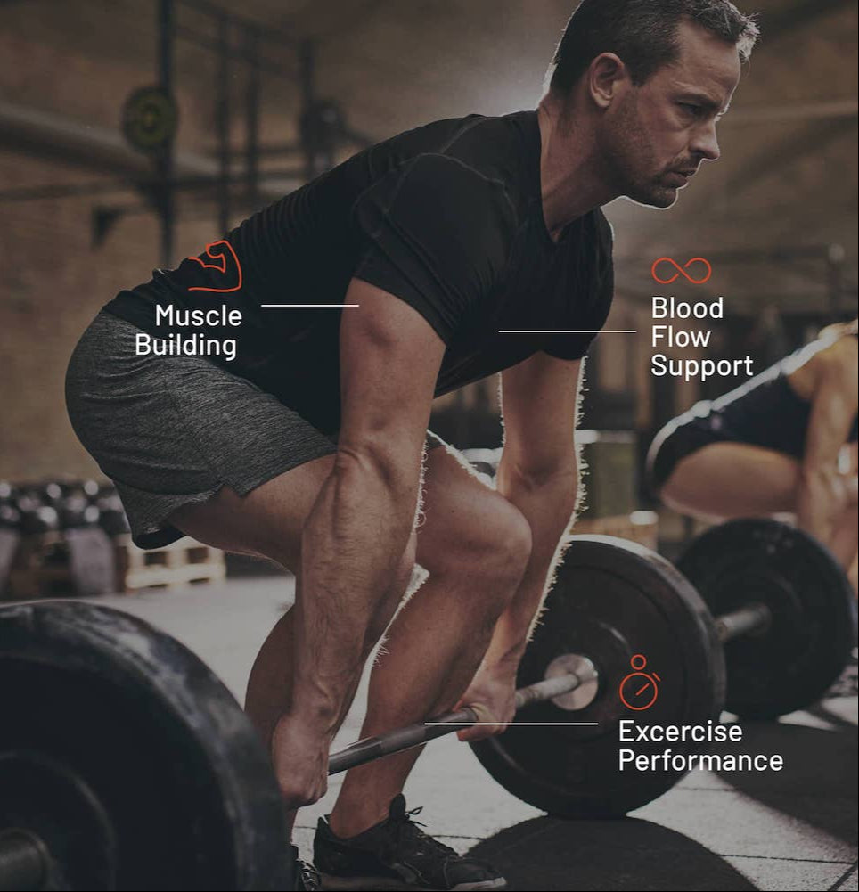 Ultimate Nitric Oxide + Testo Booster Bundle - Buy 3, Get 2 by Snap Supplements