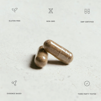 Organ+ by Molecular Provisions