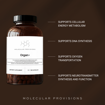 Organ+ by Molecular Provisions