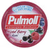 Pulmoll Red Fruits Sugars Free 45g by Pasteur Pharmacy