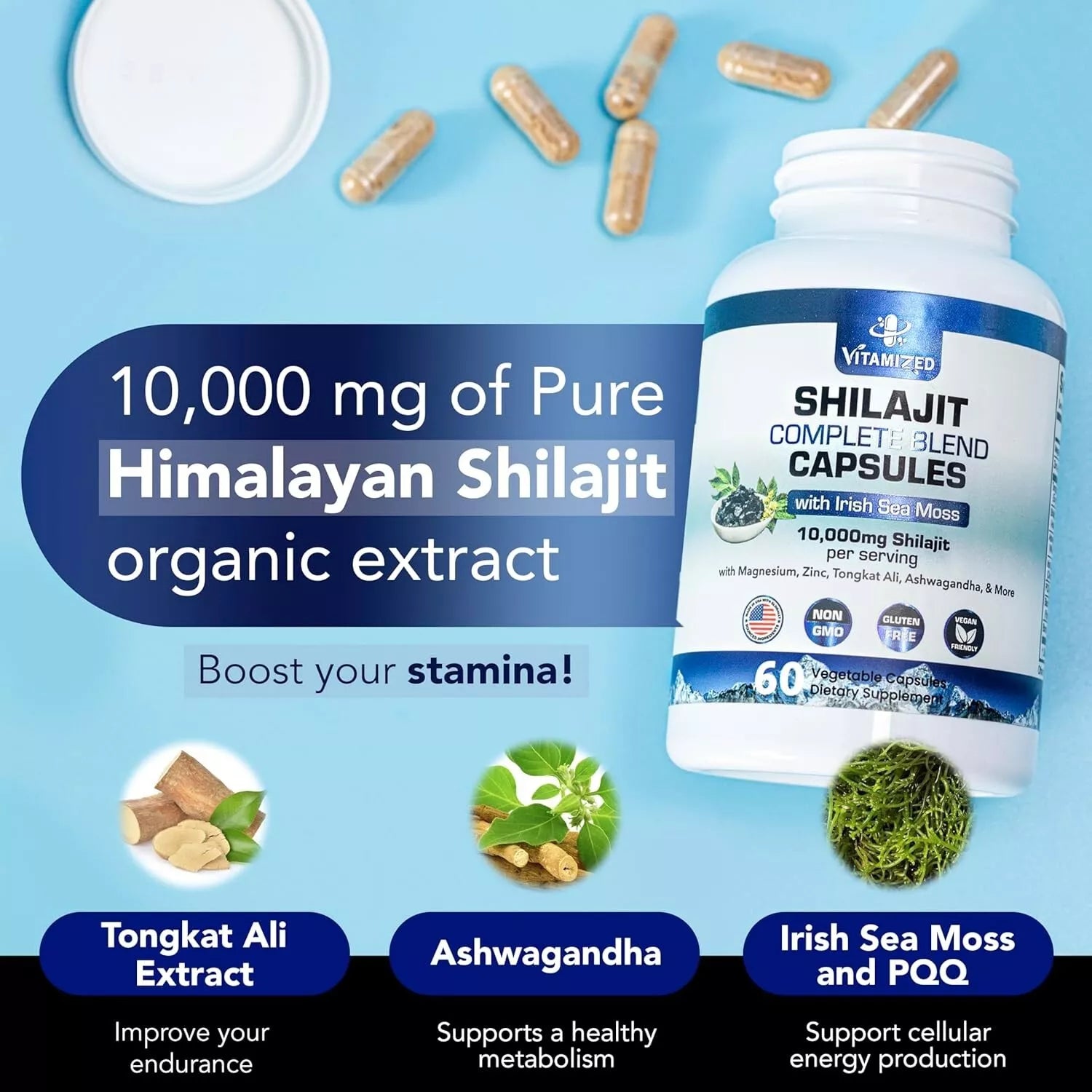 Shilajit Complete Blend - Energy and Endurance - Pure Shilajit Extract - 60 Capsules by The VITAMIZED Shop