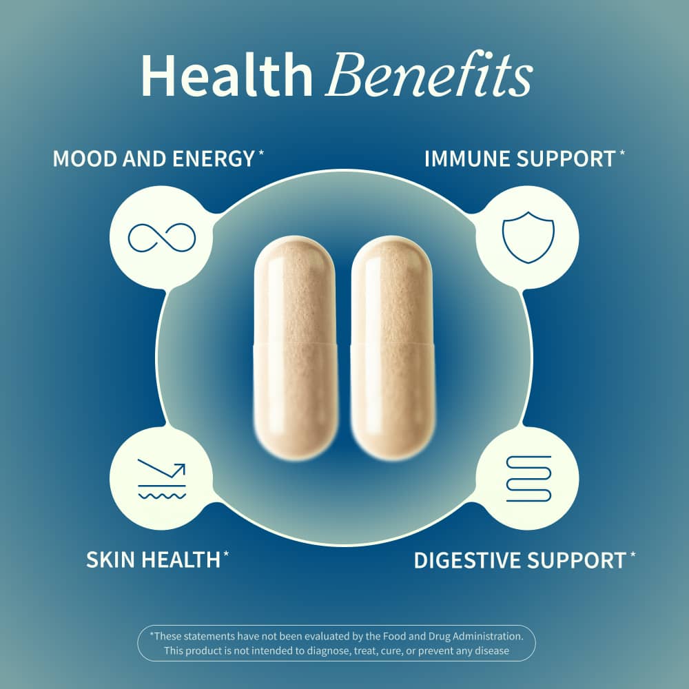 Irish Sea Moss with Iodine Energy Support by Snap Supplements