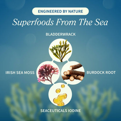 Irish Sea Moss with Iodine Energy Support by Snap Supplements
